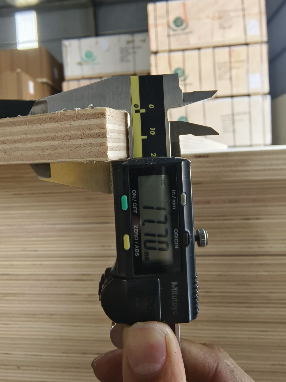 Ván ép Poplar nhập khẩu plywood lõi gỗ Poplar